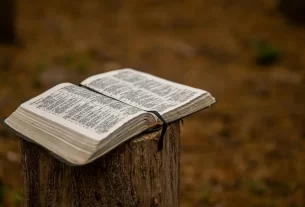Bíblia aberta para iniciar um devocional diário.