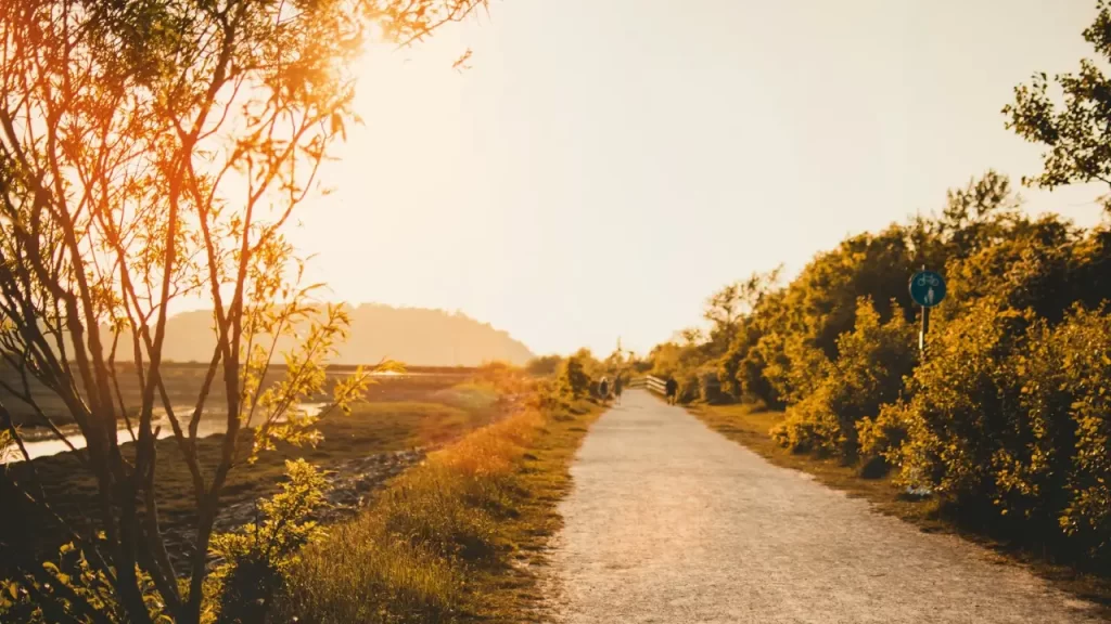 Uma estrada com caminho se abrindo entre obstáculos. Deus abrindo caminhos onde parecia impossível. 