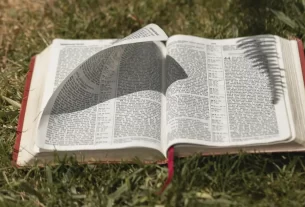 Bíblia aberta para iniciar um devocional.