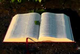 Bíblia aberta para iniciar um devocional diário.
