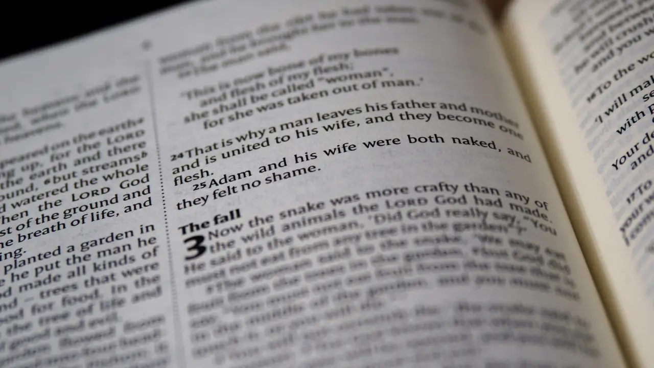 Bíblia aberta para iniciar um devocional.