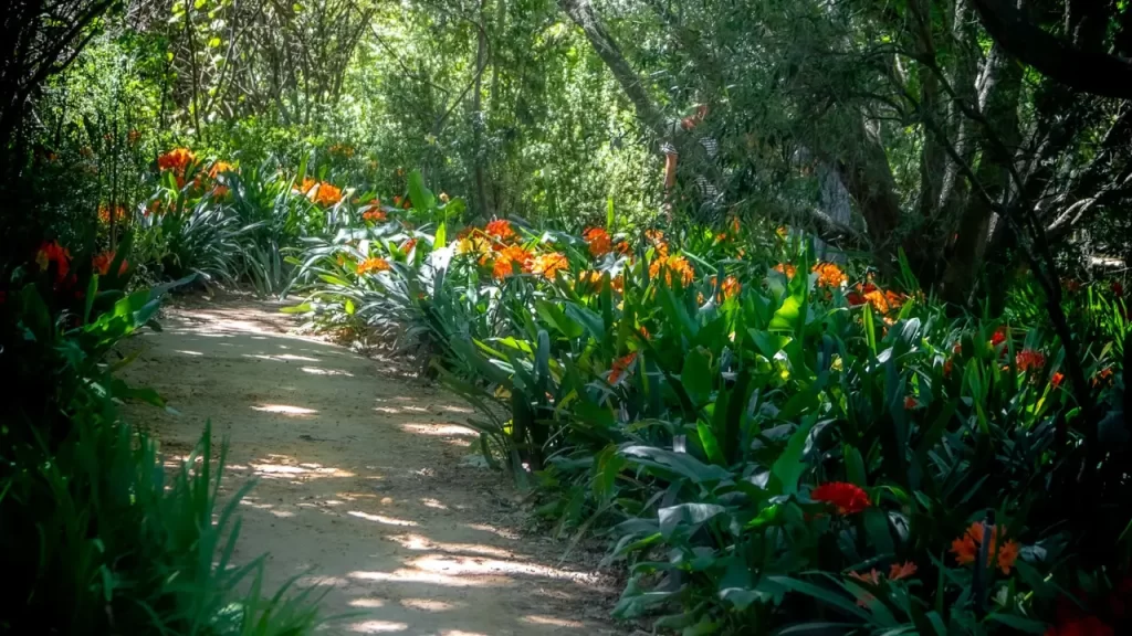 Foto simbólica de um caminho.
