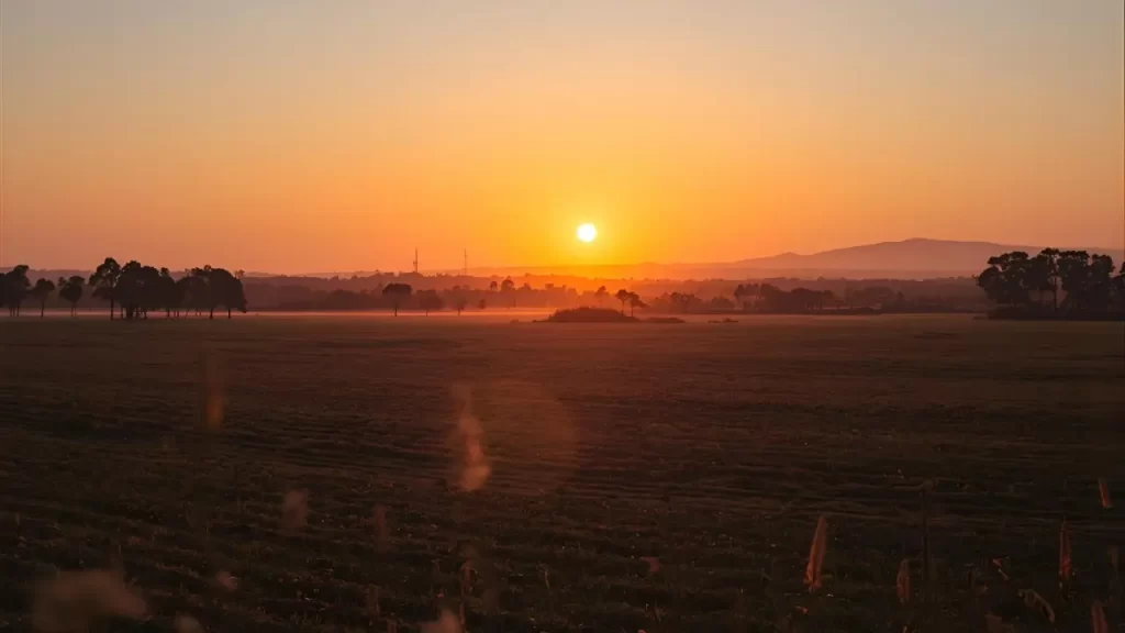 Imagem de um pôr do sol. 