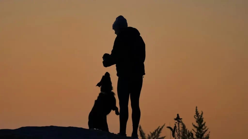 Pessoa em momento tranquilo com seu cachorro. 