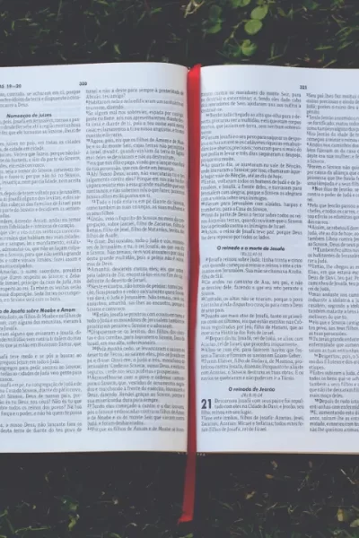 Bíblia aberta para iniciar um devocional diário.