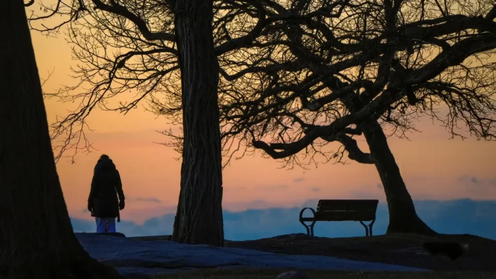 Caminho tranquilo ao entardecer. 