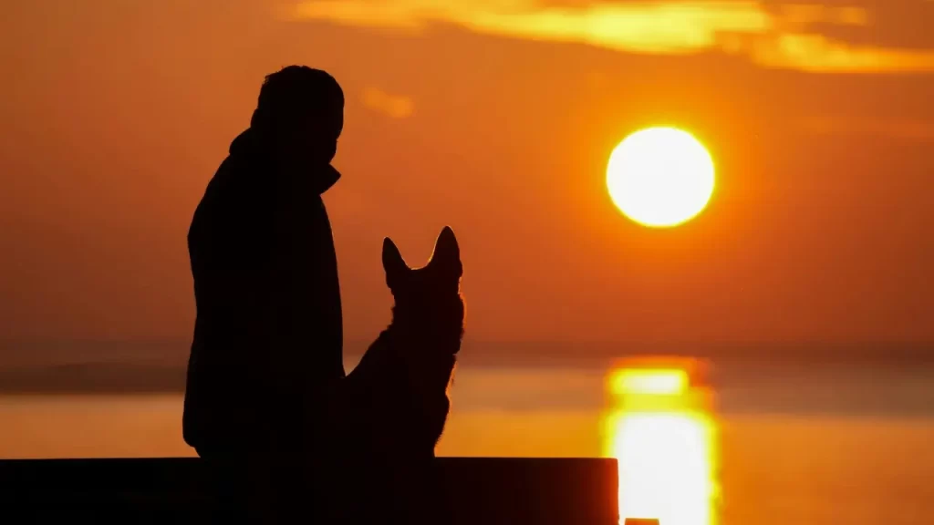 Pessoa refletindo ao pôr do sol.