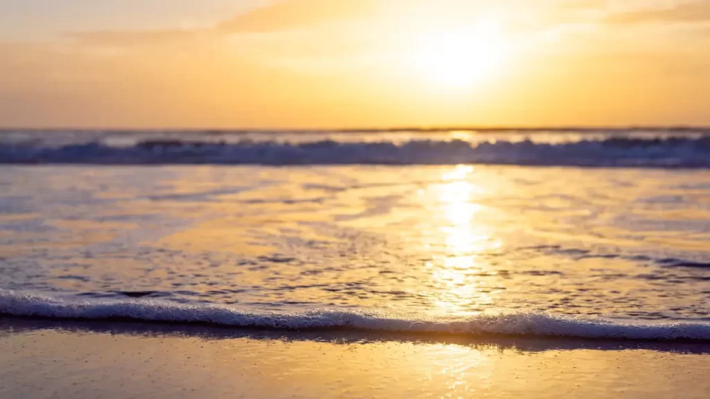 Imagem  tranquila de uma praia. 