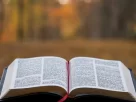 Bíblia aberta para iniciar um Devocional.
