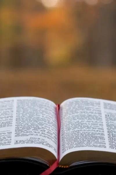 Bíblia aberta para iniciar um Devocional.