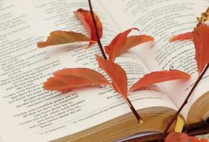 Bíblia aberta para iniciar um devocional diário.