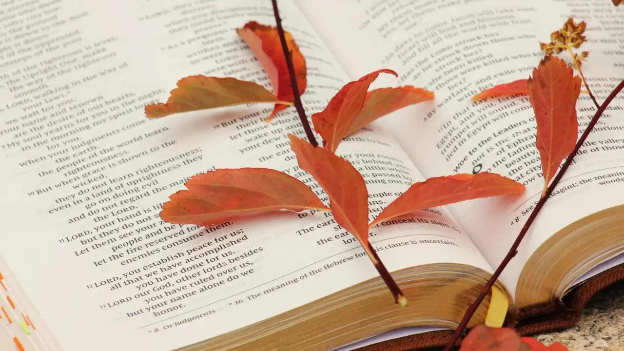 Bíblia aberta para iniciar um devocional diário.