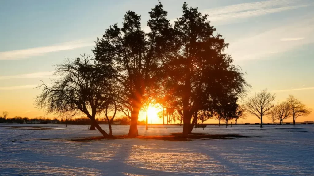 paisagem com luz (esperança/renovação).