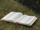 Bíblia aberta para iniciar um devocional diário.