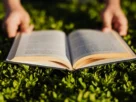 Bíblia aberta para iniciar um devocional diário.