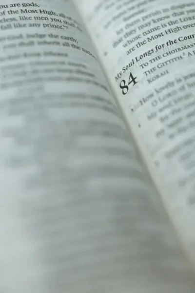 Bíblia aberta para iniciar um devocional diário.